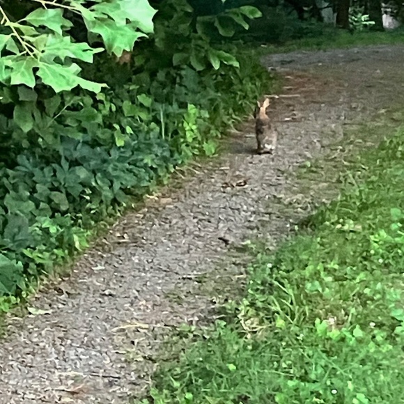 Meet your Posher, David - Picture 11 of 16